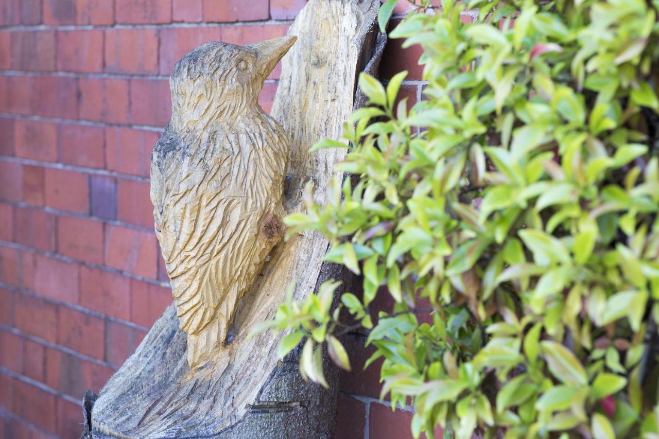 1 Bed Llangollen Cottage - Sleeps 2 Buitenkant foto
